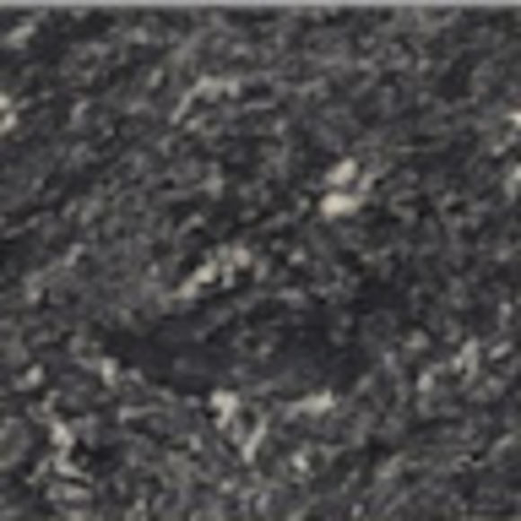 Meet your Posher, Pezza - Picture 1 of 1